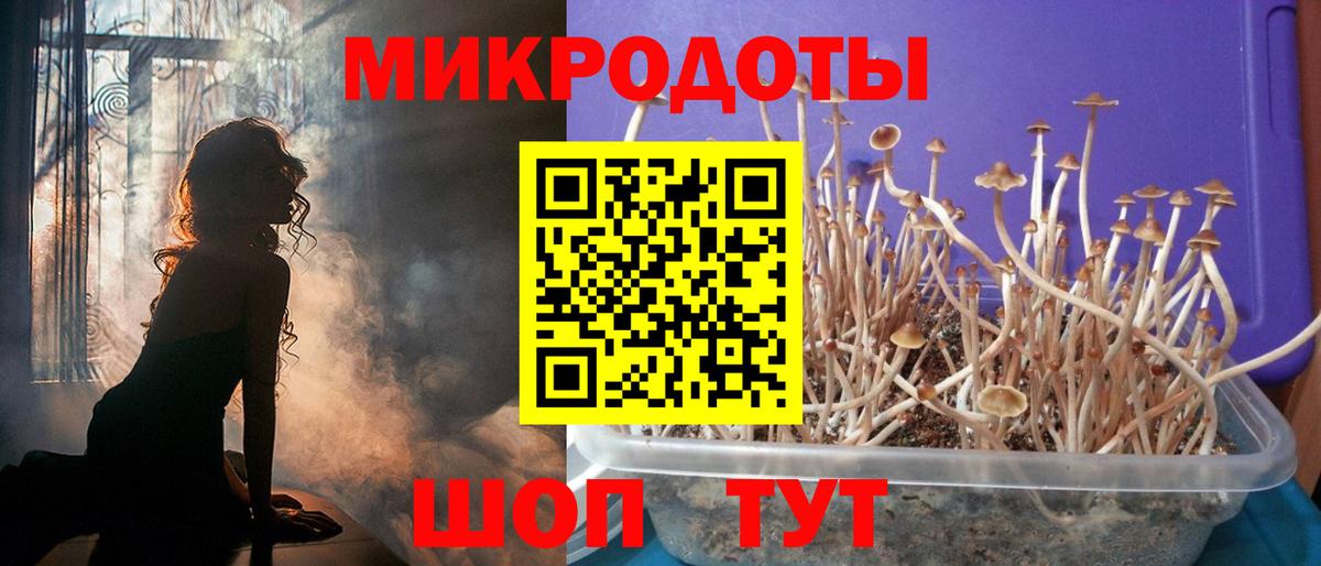 Псилоцибиновые грибы Cubensis  Псилоцибиновые грибы Psilocybine cubensis  Находка  Вход с VPN 